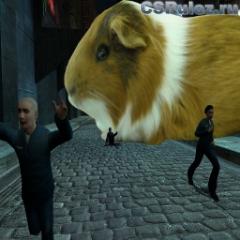   Counter Strike Source - guinea_pig