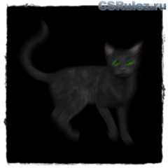   Counter Strike Source - Black Cat