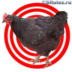   Counter Strike Source - ChickenBullseye