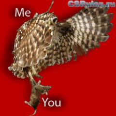   Counter Strike Source - Owl Rat / Me You