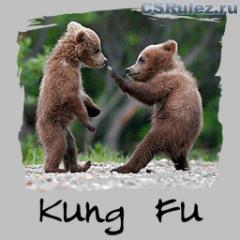   Counter Strike Source - Kung Fu