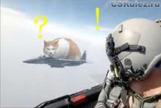   Counter Strike Source - Jet cat