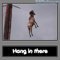   Counter Strike Source - Hang in there Ram