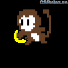   Counter Strike Source - Monkey