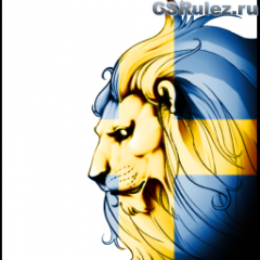   Counter Strike Source - Swedish Lion Flag*Transparent*