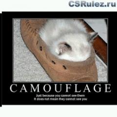   Counter Strike Source - Camouflage Cat