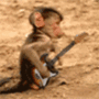   Counter Strike Source - animated monkey playing guitar