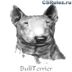   Counter Strike Source - BullTerrier