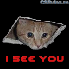   Counter Strike Source - Ceiling Cat